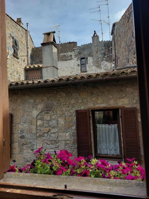 Casa Rosita Vista Lago Bolsena Exterior foto